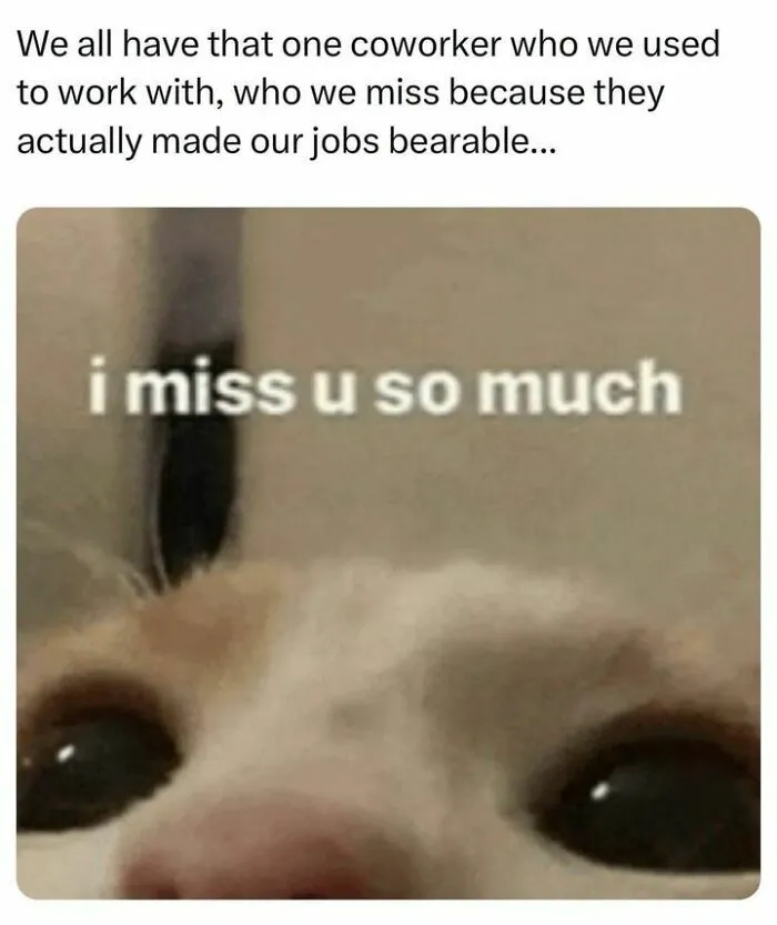 50 Hilariously Relatable Memes If You Need To Feel Seen Today