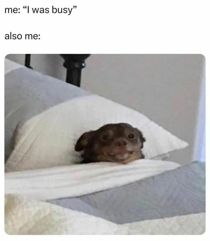 50 Hilariously Relatable Memes If You Need To Feel Seen Today