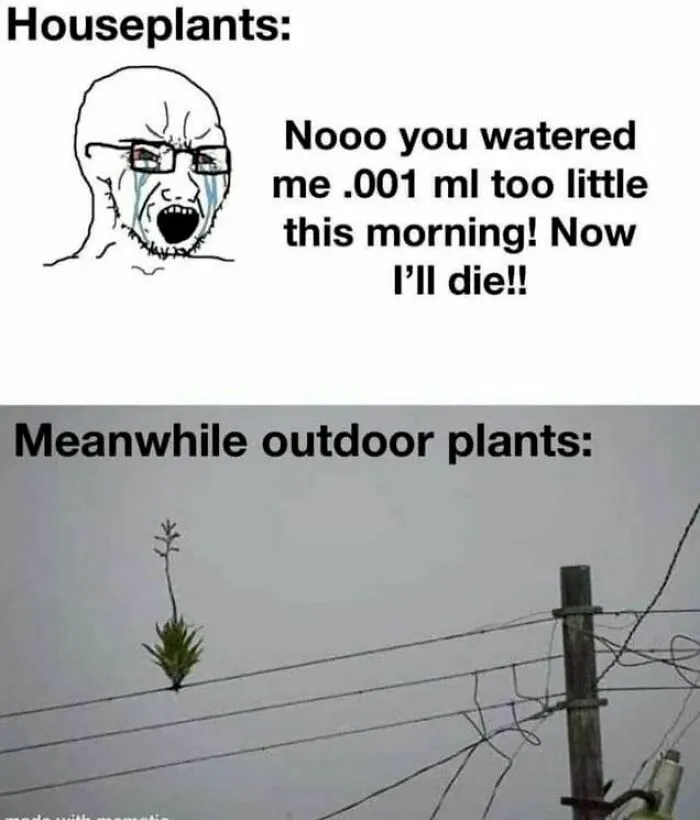 50 Funny And Random Memes To Brighten Your Day
