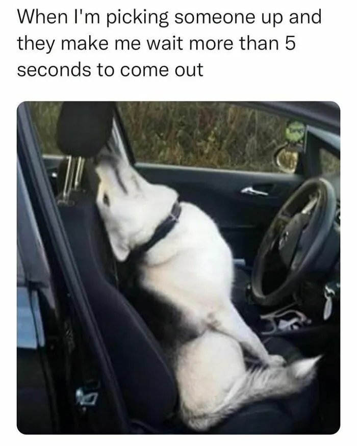 50 Hilariously Relatable Memes If You Need To Feel Seen Today