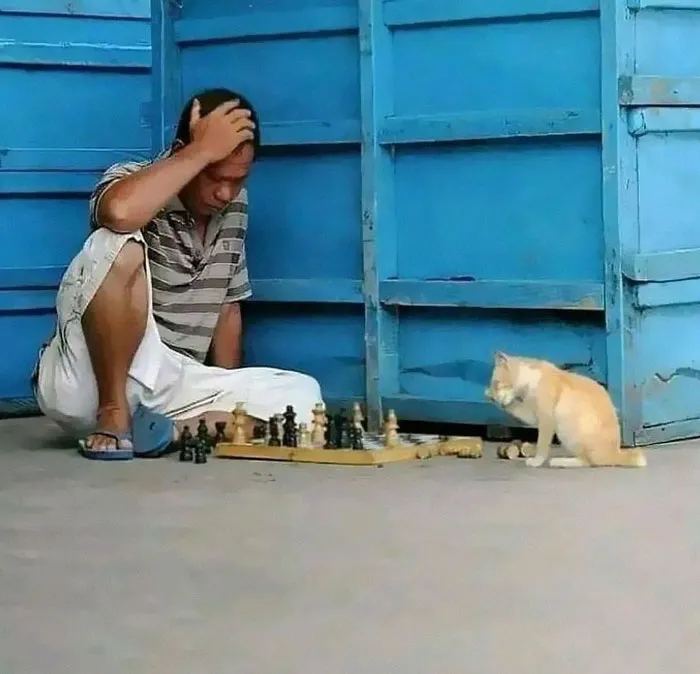 50 Random, Funny, And Unhinged Images That Show Off The Bizarre Side Of India