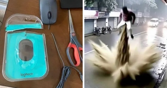 50 Random, Funny, And Unhinged Images That Show Off The Bizarre Side Of India