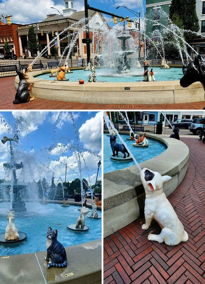 South Main Plaza Fountain In Mt Vernon, Oh. Some Of The Dogs Have Been Sponsored And Each One Has A Plaque That Tells What It Is. There's One Cat And 3 Birds Also