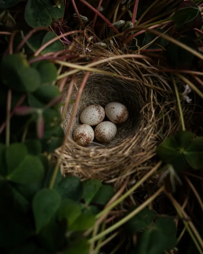 “I Saw A Duck”: 30 Hilariously Trivial Reasons That Made Pregnant Women Bawl