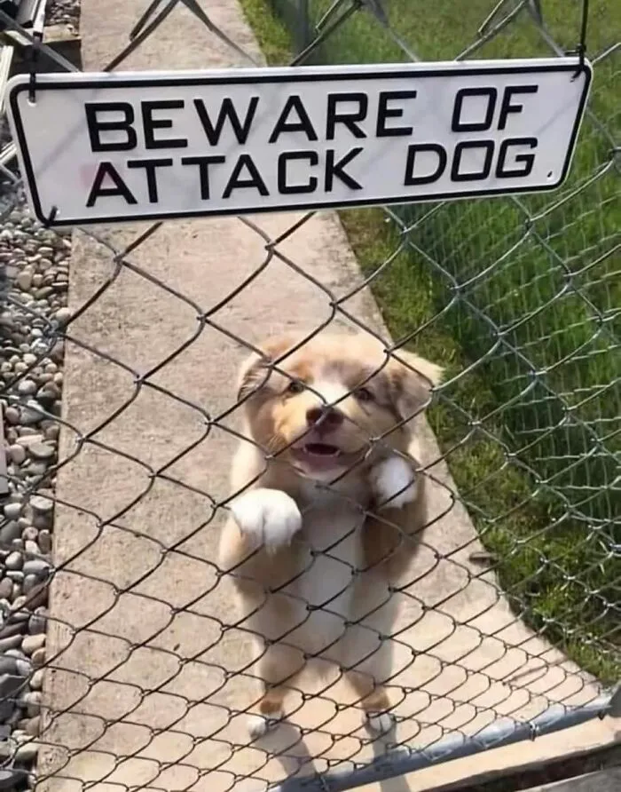 50 Of The Funniest And Most Baffling Signs That People Found In The Wild