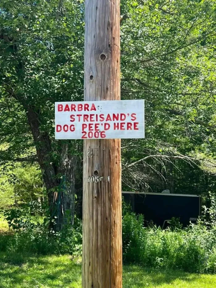 30 Carteles tan divertidos como absurdos que había que compartir
