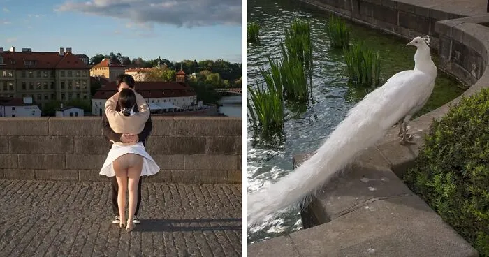 Fun Accidental Moments Captured By This Street Photographer (50 New Pics)