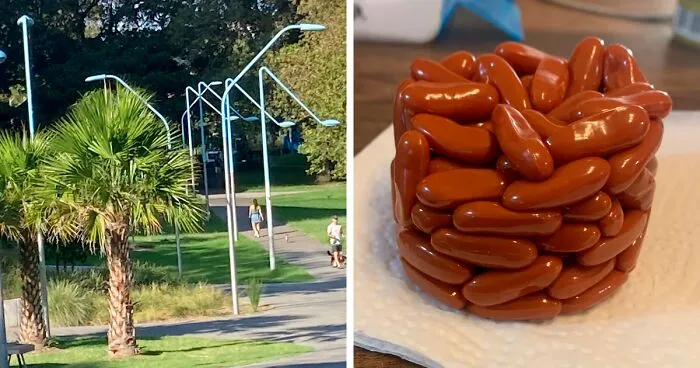 50 Photos People Took In The Terrible Heatwaves That Happened This Summer (New Pics)