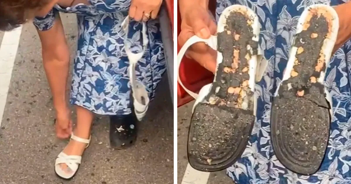40 Fotos que muestran las consecuencias de las olas de calor veraniegas