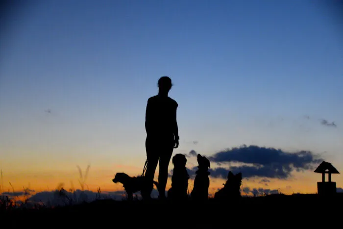 Silhouette