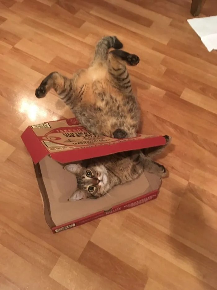 "Pizzas With Threatening Auras": 30 Pics From The Page With The Most Cursed Images Of Pizzas