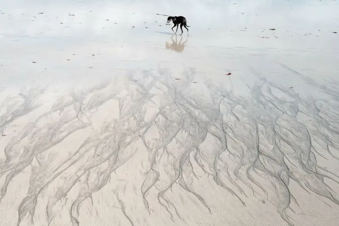 Lucky Coincidences: 20 Perfectly Timed Pictures Taken By Edas Wong (New Pics)