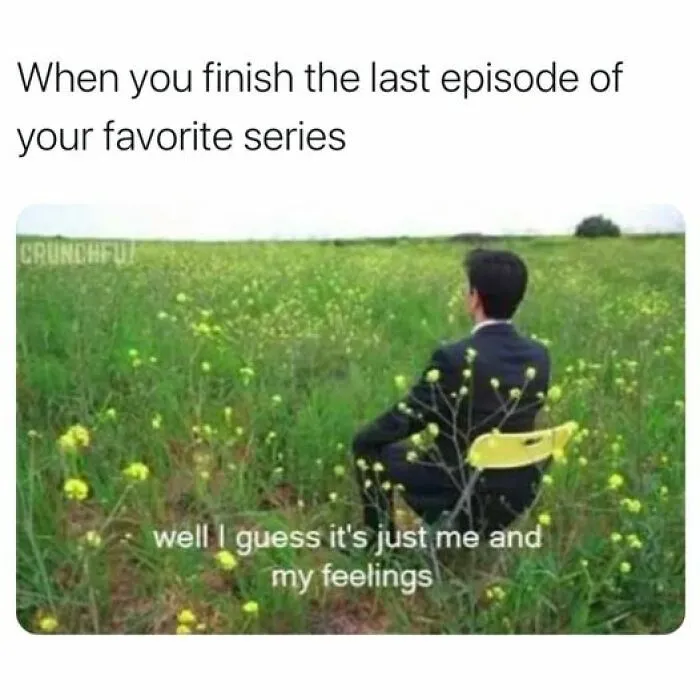 Man sitting in a field after finishing a Netflix series, with the text "well I guess it's just me and my feelings" conveying humor.