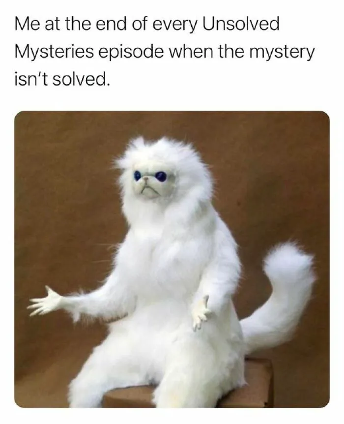 Confused white cat meme with text about unsolved Netflix mystery, illustrating reaction to unresolved endings.
