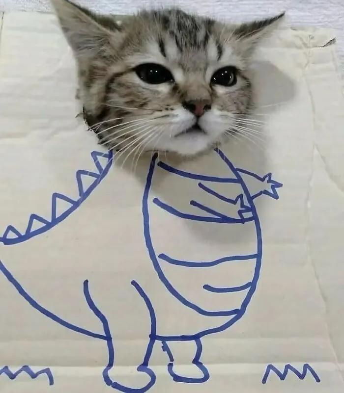 Pet Mischief On Camera: Photos Of Cats And Dogs Being Adorable