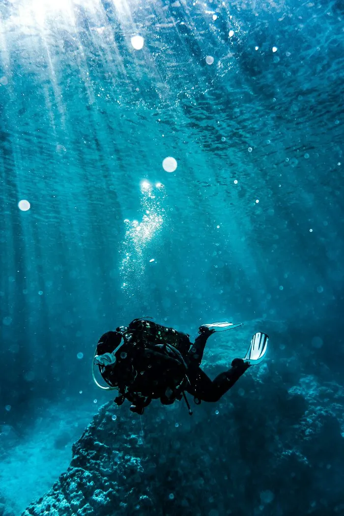 50 Disturbing Facts To Make You Want To Crawl Under Your Bed And Stay There