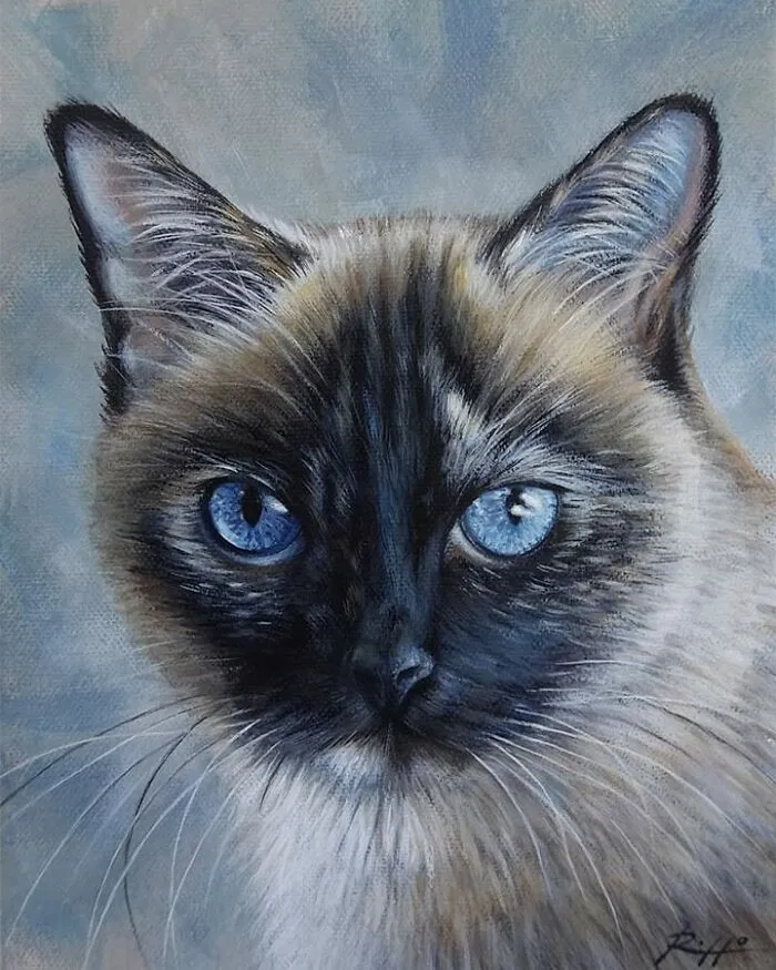Italian Artist Roberto Rizzo Brings Pets To Life In 26 Realistic Portraits