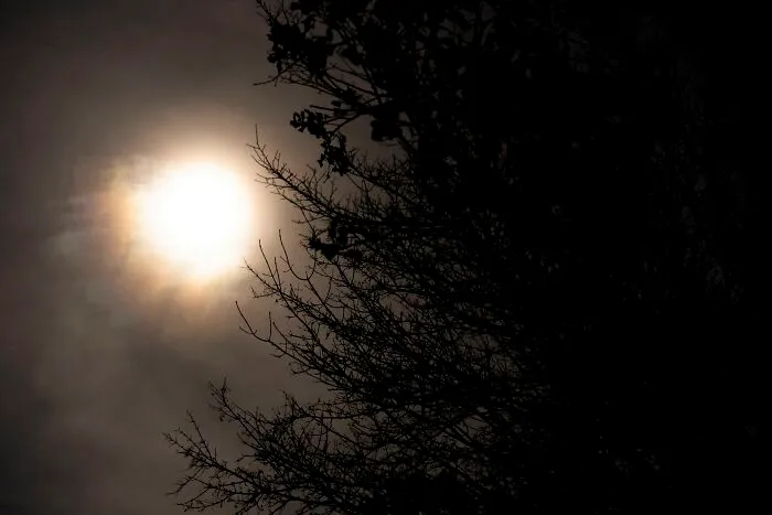 50 Disturbing Facts To Make You Want To Crawl Under Your Bed And Stay There
