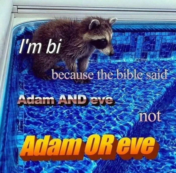 Raccoons Have Never Been More Relatable Than They Are In These 30 Dark Humor Memes