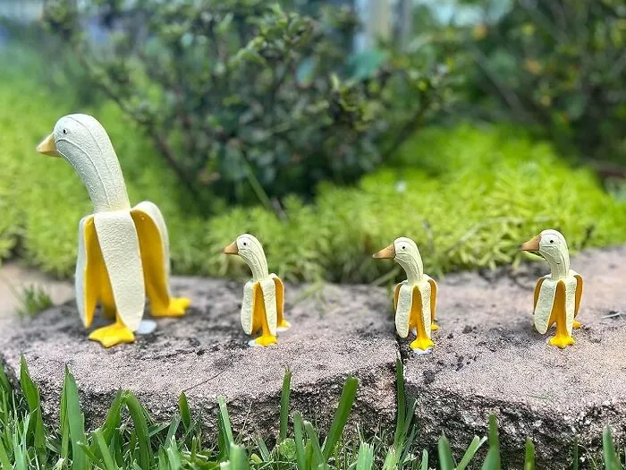 "What The Duck?" That's What Your Guests Will Be Saying When They See This Hilarious <a Style="Display:inline;" Href="Https://Www.amazon.com/Creative-Sculpture-Whimsical-Outdoor-Housewarming/Dp/B0bnkzhx4v?ie=utf8&linkcode=ll1&tag=bpmonkey-20&linkid=ddd5a8540c479f2b82985f2ecfa0f945&language=en_us&ref_=as_li_ss_tl" Target="_blank"><span Style="Font: Inherit; Color: #d74b1f;"> Banana Duck Statue</Span> In Your Home