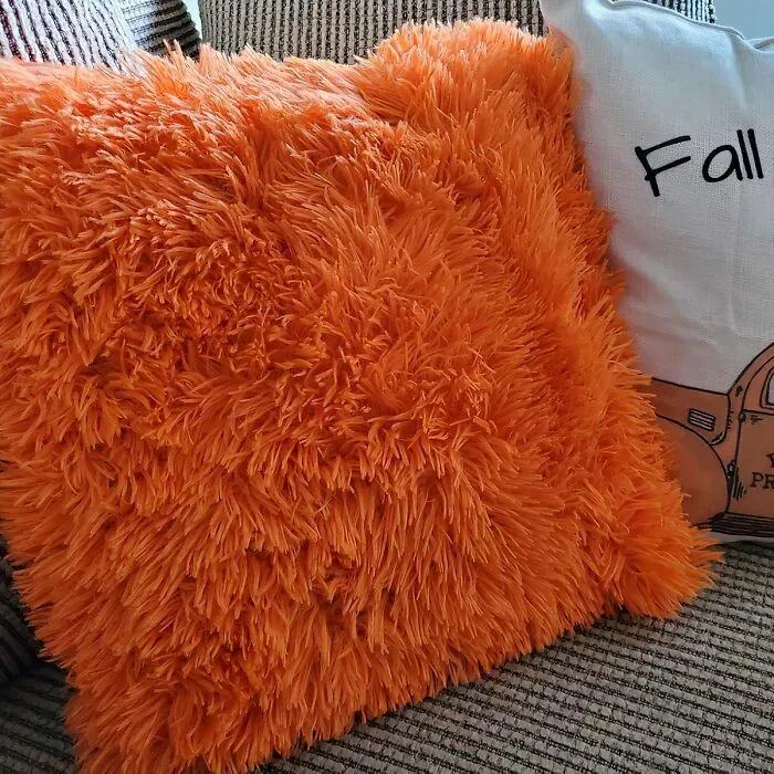 Your Couch Is About To Become The Ultimate Autumnal Paradise With These Pumpkin Spice-Inspired <a Style="Display:inline;" Href="Https://Www.amazon.com/Miulee-Luxury-Decorative-Cushion-Bedroom/Dp/B07fp8822j?dib=eyj2ijoimsj9.liddanft1dkaas30apsmk1v893so6immo6abtrix1_nj_9-Q_vbku1voihp2h98t2qxweszvnywsgawgef8ktip4dm4q5croy_iburg9ybnmwjvbuvwyndrzsjyyiz4y4-T4funrbizhokzqppnjdmybdn-3rn1ixrco1wvll80ey2uj151wcuomskbvequud_e-Yevxfktczffrx98q18atb6r2ac682ldrm1nbawdwylxarqjnoth-Emmdj-Zjtpuwxbk3wsoy4ymqmxykwbblhozhqlvwz6ivl75ybwu.o04oxbyzimfhabxebu6canhx75t-43p6-9lcw0y2key&dib_tag=se&keywords=fall%2bstuff&qid=1725353161&sr=8-76&th=1&linkcode=ll1&tag=bpostrich-20&linkid=1770b1cbe3a65e2185bf91a1a28ac5ff&language=en_us&ref_=as_li_ss_tl " Target="_blank"><span Style="Font: Inherit; Color: #d74b1f;"> Orange Faux Fur Throw Pillow Covers</Span>