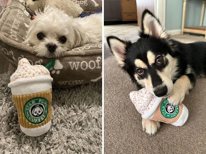 Your Pup Will Be Barking For More Than Just Belly Rubs With This <a Style="Display:inline;" Href="Https://Www.amazon.com/Star-Coffee-Pupkin-Spice-Latte/Dp/B09gpt3ryg?dib=eyj2ijoimsj9.liddanft1dkaas30apsmk1v893so6immo6abtrix1_nj_9-Q_vbku1voihp2h98t2qxweszvnywsgawgef8ktip4dm4q5croy_iburg9ybnmwjvbuvwyndrzsjyyiz4y4-T4funrbizhokzqppnjdmybdn-3rn1ixrco1wvll80ey2uj151wcuomskbvequud_e-Yevxfktczffrx98q18atb6r2ac682ldrm1nbawdwylxarqjnoth-Emmdj-Zjtpuwxbk3wsoy4ymqmxykwbblhozhqlvwz6ivl75ybwu.o04oxbyzimfhabxebu6canhx75t-43p6-9lcw0y2key&dib_tag=se&keywords=fall+stuff&qid=1725353161&sr=8-81&linkcode=ll1&tag=bpostrich-20&linkid=cd19522470153464cd376c0961685c6f&language=en_us&ref_=as_li_ss_tl" Target="_blank"><span Style="Font: Inherit; Color: #d74b1f;"> Pups Coffee Plush Squeaky Toy</Span> - It's The Perfect Fall-Themed Fetch Companion