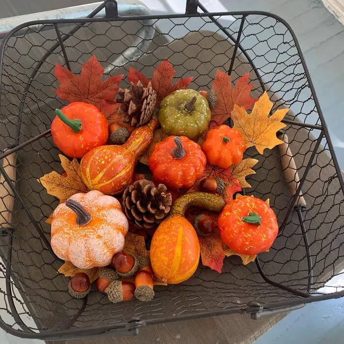 Get Your Home Ready For Fall Festivities With This Adorable <a Style="Display:inline;" Href="Https://Www.amazon.com/Winemana-Thanksgiving-Artificial-Decoration-Pinecones/Dp/B07vjdv971?dib=eyj2ijoimsj9.y-Dbl1w_qe_5tr90krpniqz6hqjld91azcox_zfpo1bs-Qqqgrprf6sbhw59ppc5xs1bw_z-Cqfoh9z-Cp5ue844ydpkorm0ss06wnkn8n5supenhjl5vs0pzynrb0xdgjbbj1nprmmknazyqbcgg9qckprcruerc1piobk9y-Qv6yl9dlldjpda3tl491-3nx7yumhbj11c80lft0vybwhjqhk0iehexdeppuk4cbj2wefhh-N1dodt_emzf2dqjsdxxqwfdoluuih4andx54o0kjncztdo8jczpjncsfi.wr8pwjtfw_m8c2sxzutrvbtbbmv-Rfkjdrblwzwzkr0&dib_tag=se&keywords=fall%2bstuff&qid=1725353191&sr=8-118&th=1&linkcode=ll1&tag=bpostrich-20&linkid=5f3eeb46efcd24db447917862b036280&language=en_us&ref_=as_li_ss_tl " Target="_blank"><span Style="Font: Inherit; Color: #d74b1f;"> Pumpkins Decor Set</Span>