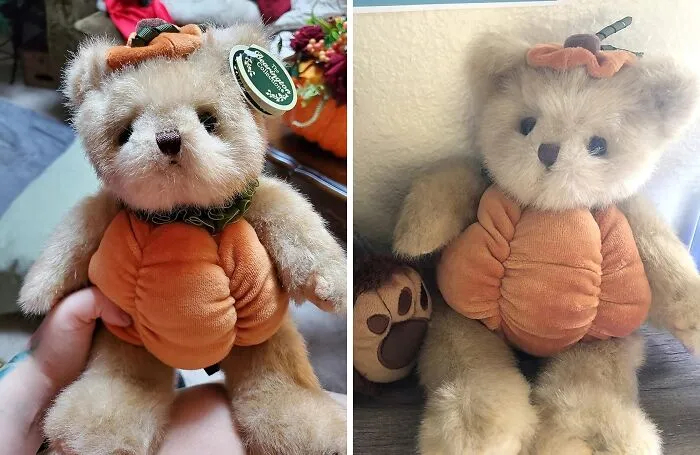 This <a Style="Display:inline;" Href="Https://Www.amazon.com/Bearington-Pumpkin-Stuffed-Animal-Inches/Dp/B00fv0zggm?dib=eyj2ijoimsj9.kst_jorignpdwrlvp4oj3sexelg57hxydktppvtivlu_oqrmcdiplg5tunehvcf515bykx91fzkanazbyxdy8bgigbph9teih17cr9tuuqw.9bzk_x0xkf-Kp43hmi7dgngijsd6tt0phciunow2n6c&dib_tag=se&keywords=fall+stuff&qid=1725353243&sr=8-200&linkcode=ll1&tag=bpostrich-20&linkid=506a1e638289bfe004e11ca57b10fa65&language=en_us&ref_=as_li_ss_tl " Target="_blank"><span Style="Font: Inherit; Color: #d74b1f;"> Pumpkin Plush Teddy Bear</Span> Is So Cute, It'll Make You Want To Squash All Your Other Stuffed Animals