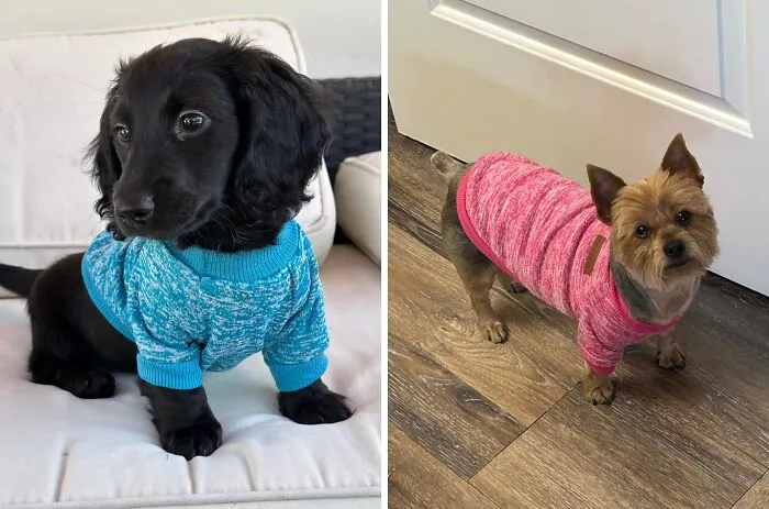Bundle Up For Temperature Changes This Fall