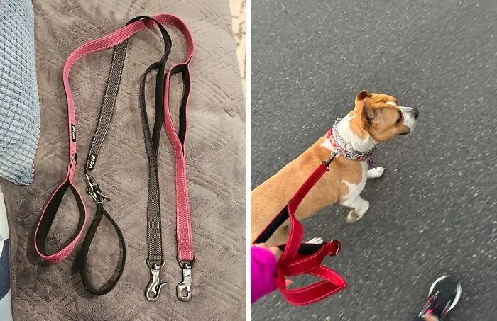 Keep Your Pet Safe From Hidden Hazards