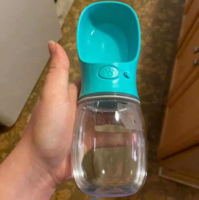Keep Your Pet Hydrated In Cooler Weather