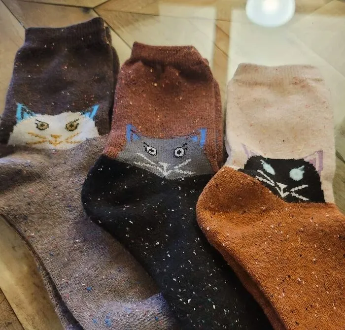 Pumpkin Spice And Everything Nice... Including These Adorable <a Style="Display:inline;" Href="Https://Www.amazon.com/Joyca-Womens-Multicolor-Fashion-Cotton/Dp/B01n4qt41z?dib=eyj2ijoimsj9.mgfd4okmjockvgi6mqdqscl3jlbnw-Nxdpibwohpu9s9ygk_4_bvx0w8-Tixra99dwoml2g1yrgwozpsk0yos0chprn4hah_c7dsw_l0bjbqhax8lr3rf3_rw2urabhi1qeey-0h3r6k1ghigifk9codx0rsm1pvrjcm9kfoi1b2prtsn93fykjunf_vuzh8jd6gya0kuvw0bxala1msnwtz39ofsnpw0bpyttaypnb4fsjpvdwjopqvlzbb1c-Kpkpk2u8tjqvozgak1ngn_uaxmjw_wpm6z6aleamxgmc.wvwbkrn5dshzvtbvrae-B2cg7ge6jxcecmq9euyfawq&dib_tag=se&keywords=cozy%2bfall%2bsocks&qid=1725361456&sr=8-6&th=1&psc=1&linkcode=ll1&tag=bpostrich-20&linkid=f14ecb94340673a26834dcc674b07958&language=en_us&ref_=as_li_ss_tl " Target="_blank"><span Style="Font: Inherit; Color: #d74b1f;"> Cat Socks</Span> That'll Keep Your Toes Warm And Toasty All Season Long