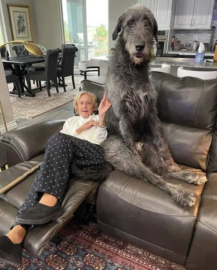 Señora junto a su perrazo
