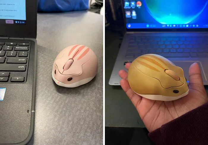 Your Coworkers Will Be Squealing With Delight When They See This Adorable <a Style="Display:inline;" Href="Https://Www.amazon.com/Wireless-Portable-Cordless-Computer-Blue/Dp/B083bwrmbh?crid=18ojlq8lbqrm9&dib=eyj2ijoimsj9.tcbdtadf1ekk7cevkgkmdpikg_6x7wgwmpmxsfruug2jop_odnj3wniaxvlmayuft-Faztyu8mpxk3qvskulbjznvb8-Gftuvv2uhfevsvegtxsy7s-Qloqqprc9mgzr6_4syd1x8c-5lji6jjtuepiiesjnbccdw2noalv3it49k_hqsbkile-Otfaktd0siztlax1nj1ajwudem6qdrmp1qv4oykmla5_uo2nq6am.y-Ofokwjwoqkyhvhjvv0v7n7apcub7_npb3jkyz_poa&dib_tag=se&keywords=unique%2bcomputer%2bmouse&qid=1725434154&sprefix=unique%2bcomputer%2bmop%2caps%2c239&sr=8-11&th=1&linkcode=ll1&tag=bpsloth-20&linkid=beeea1e4967debb361084f1c0697048b&language=en_us&ref_=as_li_ss_tl " Target="_blank"><span Style="Font: Inherit; Color: #d74b1f;"> Hamster Shape Wireless Mouse</Span> On Your Desk