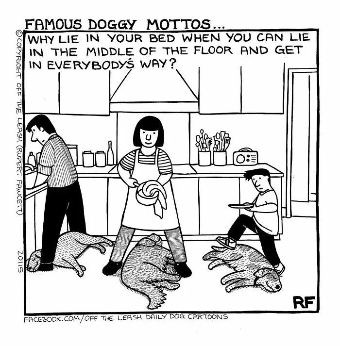 Off The Leash: 40 Relatable Comics About The Reality Of Owning A Dog (New Pics)