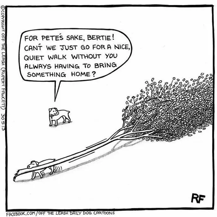 Off The Leash: 40 Relatable Comics About The Reality Of Owning A Dog (New Pics)