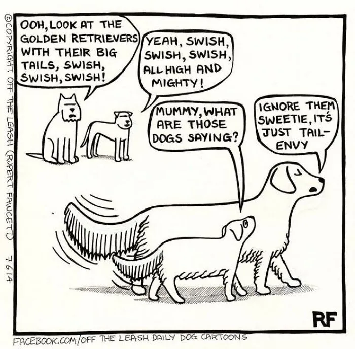 Off The Leash: 40 Relatable Comics About The Reality Of Owning A Dog (New Pics)