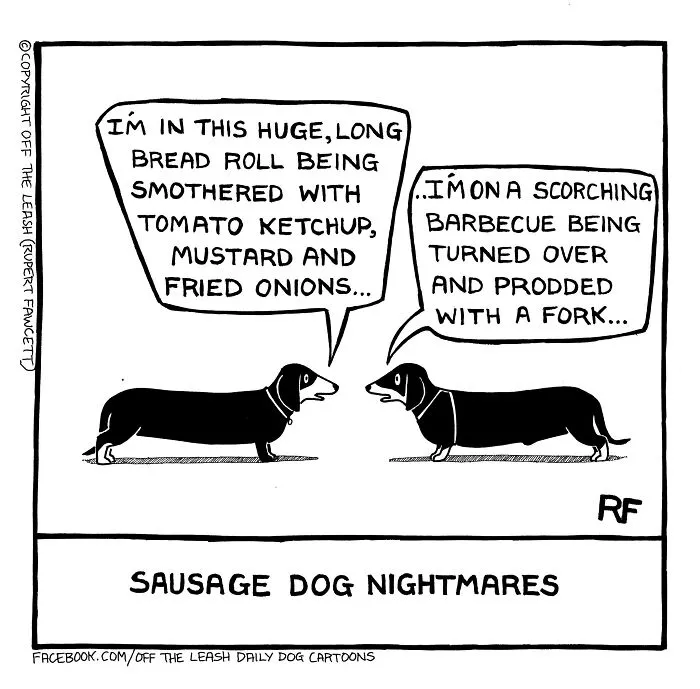 Off The Leash: 40 Relatable Comics About The Reality Of Owning A Dog (New Pics)
