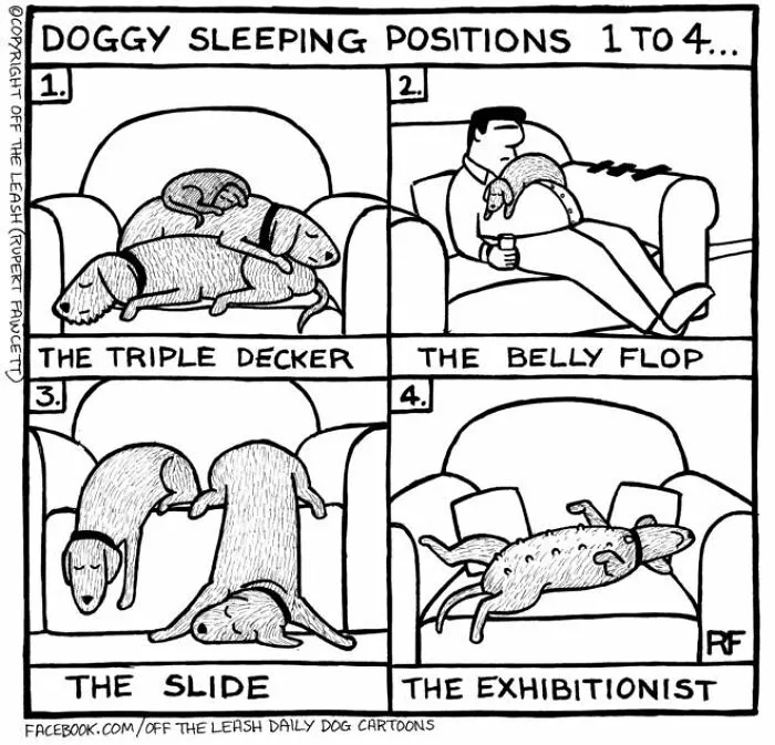 Off The Leash: 40 Relatable Comics About The Reality Of Owning A Dog (New Pics)