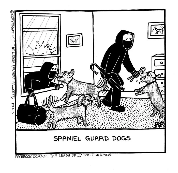 Off The Leash: 40 Relatable Comics About The Reality Of Owning A Dog (New Pics)