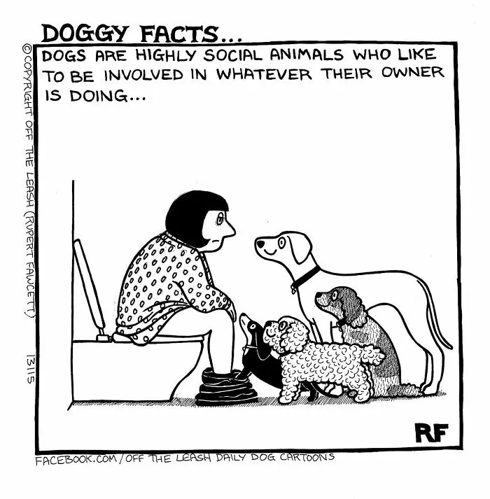 Off The Leash: 40 Relatable Comics About The Reality Of Owning A Dog (New Pics)