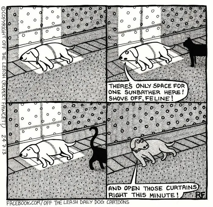 Off The Leash: 40 Relatable Comics About The Reality Of Owning A Dog (New Pics)