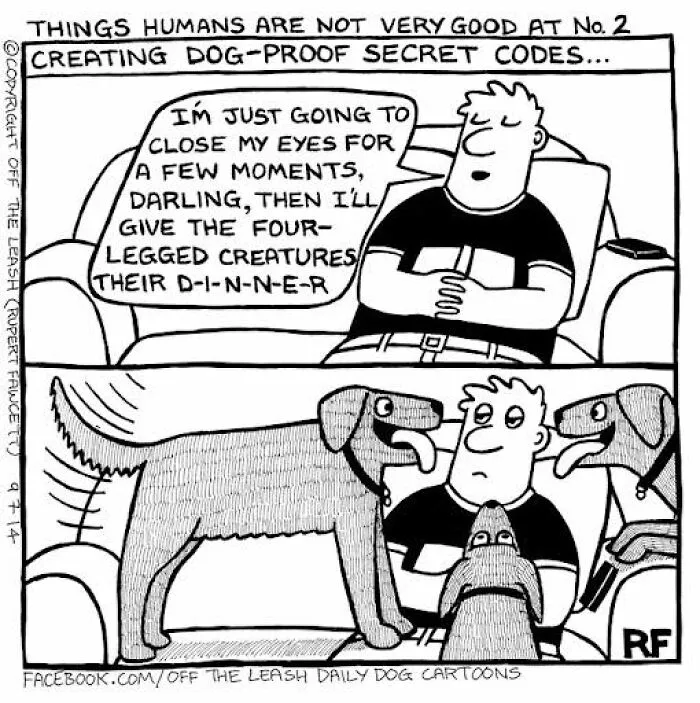 Off The Leash: 40 Relatable Comics About The Reality Of Owning A Dog (New Pics)