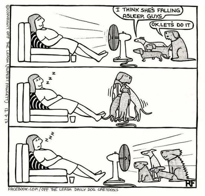 Off The Leash: 40 Relatable Comics About The Reality Of Owning A Dog (New Pics)