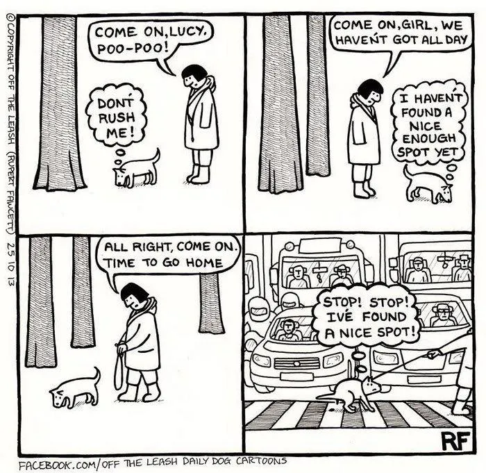 Off The Leash: 40 Relatable Comics About The Reality Of Owning A Dog (New Pics)