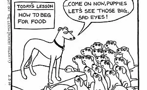 Off The Leash: 40 Relatable Comics About The Reality Of Owning A Dog (New Pics)