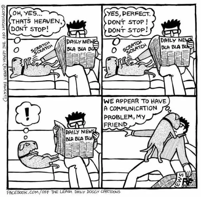 Off The Leash: 40 Relatable Comics About The Reality Of Owning A Dog (New Pics)