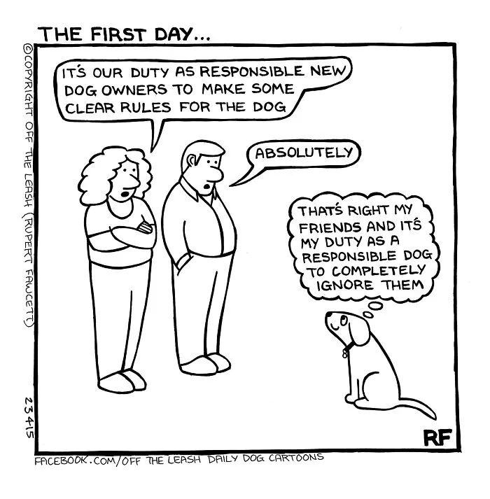 Off The Leash: 40 Relatable Comics About The Reality Of Owning A Dog (New Pics)