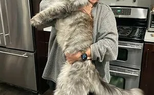 50 Animals So Giant It’s Hard To Believe They’re Real (New Pics)