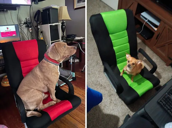 Ergonomic Chairs Are So Last Year. Redditors Are Raving About This <a Style="Display:inline;" Href="Https://Www.amazon.com/Best-Choice-Products-Multipurpose-360-Degree/Dp/B082g37786?crid=3ao70nyxls15s&dib=eyj2ijoimsj9.homgily79chvob6l6p2p1xduftf4ews9r_nfntnsbe_4er-3zaq6rmbpsvcvzzpkpvzjqagrxokvd9yipjumoojrlzk97trtgt5xecv7sli56hbcb20rtva9cny6mswfk07aghqq0vwytkmhjkkm1nfizj2qc2urumcijjei1lx_wjans9kxcsfala_u9eo73d73g08o1ctka_hlfc1rtaczjtjk52z_sbwr4qvwhq1duate8x-Nhpy6l7yi1sgagpszy3xgcjsvx1llxmf5s9tuf2recrkyfr016wap0qu.wkftrs3i58xaqcqdz9dzf89pbuwiev_xijph1v93ocm&dib_tag=se&keywords=floor%2bchair&qid=1725433921&sprefix=floor%2bchai%2caps%2c222&sr=8-9&th=1&linkcode=ll1&tag=bpsloth-20&linkid=107bfd6bf32b25a3b8b72c4485bcca81&language=en_us&ref_=as_li_ss_tl " Target="_blank"><span Style="Font: Inherit; Color: #d74b1f;"> Multipurpose Floor Chair</Span>, And You'll See Why!
